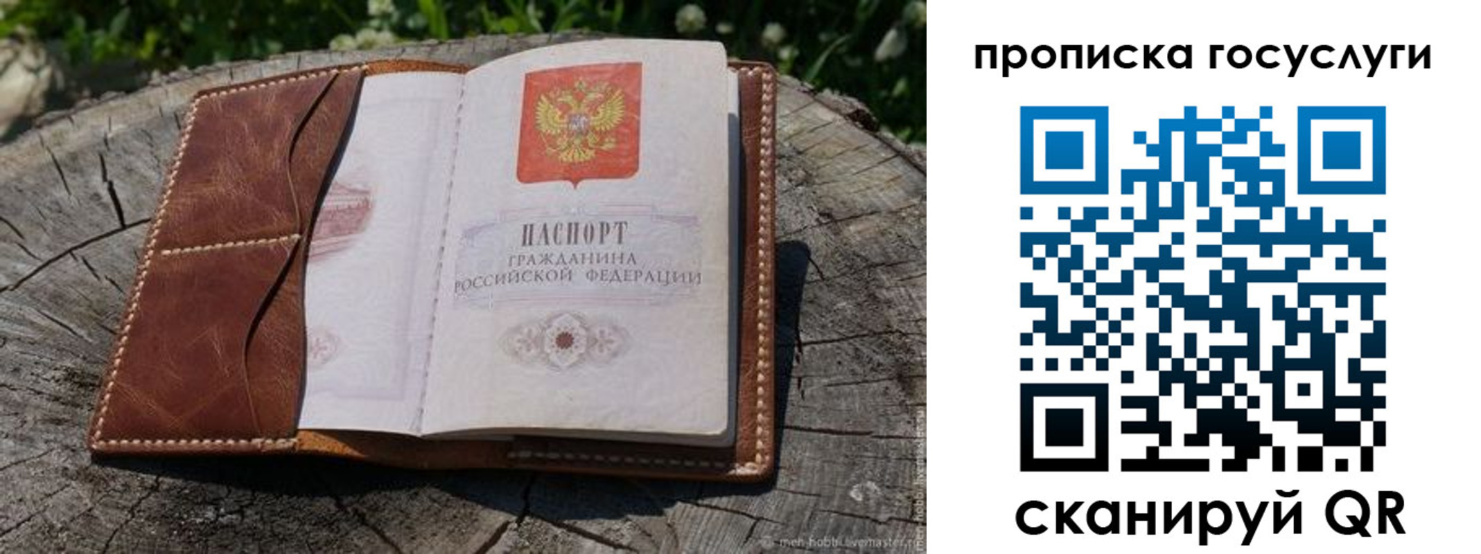 прописка для школы в Арске